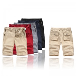 68053 Mens Cargo short